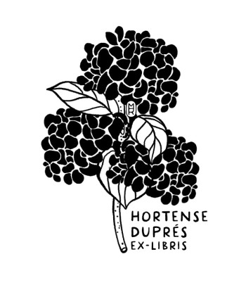 Hortensia Comparez plus de prix