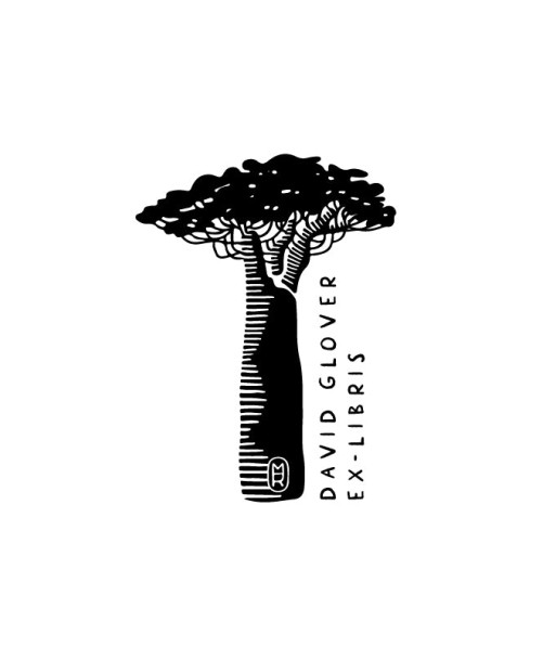 Baobab Découvrez la collection