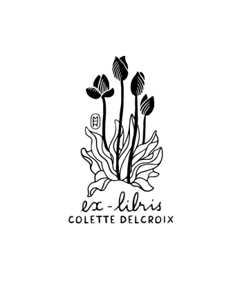 Des Tulipes au Jardin la colonne vertébrale