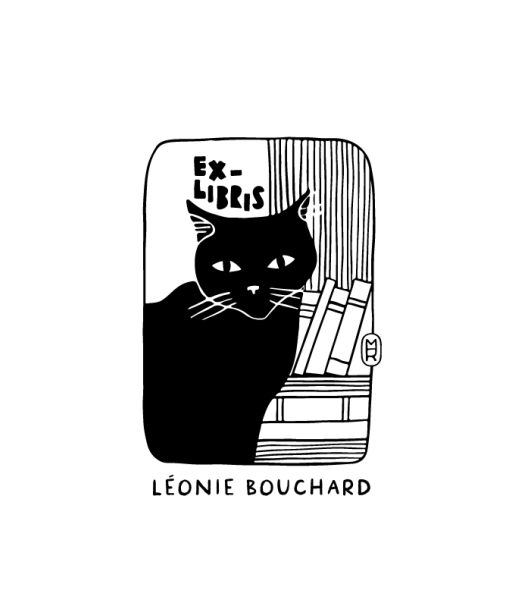 Un chat, des Livres Voir les baskets