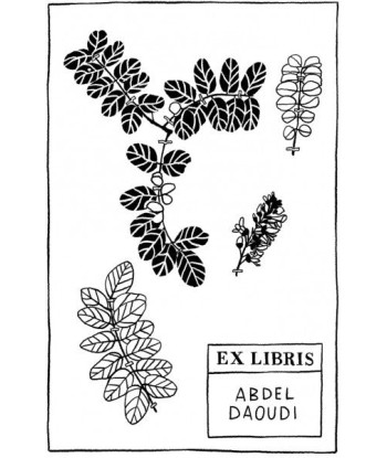 Herbier - Feuilles sur le site 