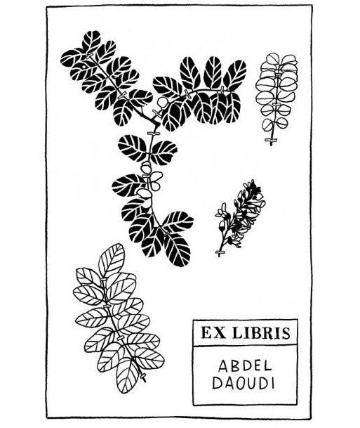 Herbier - Feuilles sur le site 